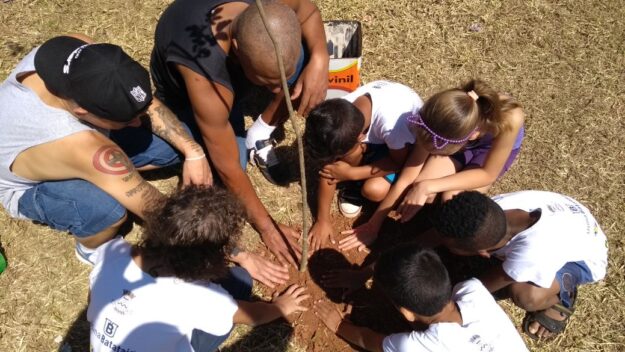 Plantio comunitário: Crianças e adultos plantam muda de árvore. Adultos e crianças com as mãos na terra plantam uma muda de árvore no chão, vista de cima.