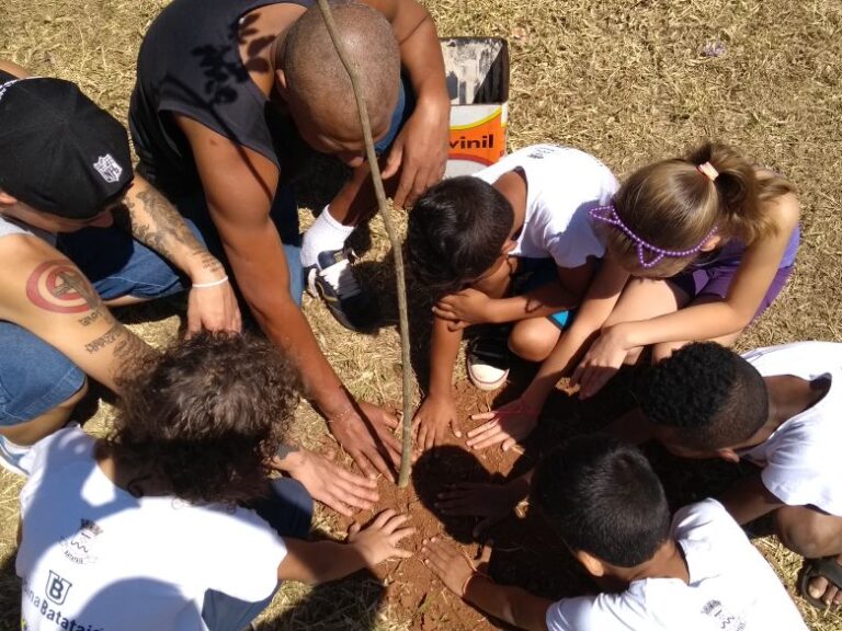 Plantio comunitário: Crianças e adultos plantam muda de árvore. Adultos e crianças com as mãos na terra plantam uma muda de árvore no chão, vista de cima.